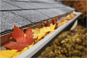Roof Maintenance Services - TekRoof MetroWest, MA