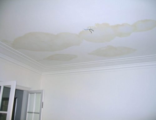 Where is That Roof Leak Coming From?